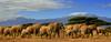 Copyright: Fotolia - Paul Hampton