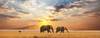Copyright: Fotolia - Galyna Andrushko