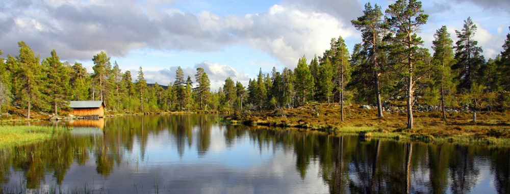 Limousinenservice Schweden | exklusiver Limousinenservice in Schweden