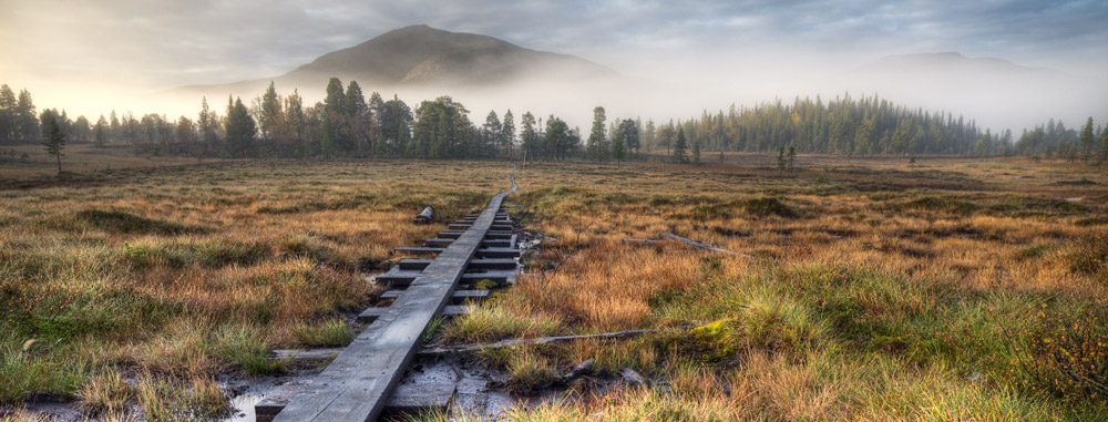 Limousinenservice Schweden | exklusiver Limousinenservice in Schweden