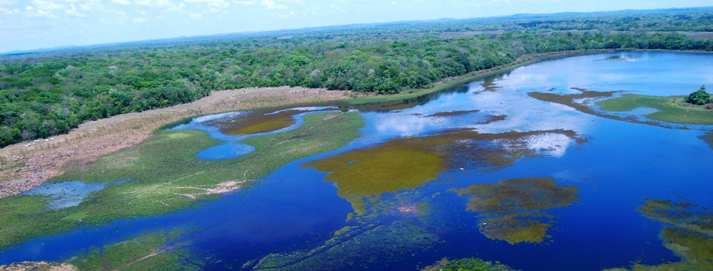 Limousinenservice Brasilien | exklusiver Limousinenservice in Brasilien