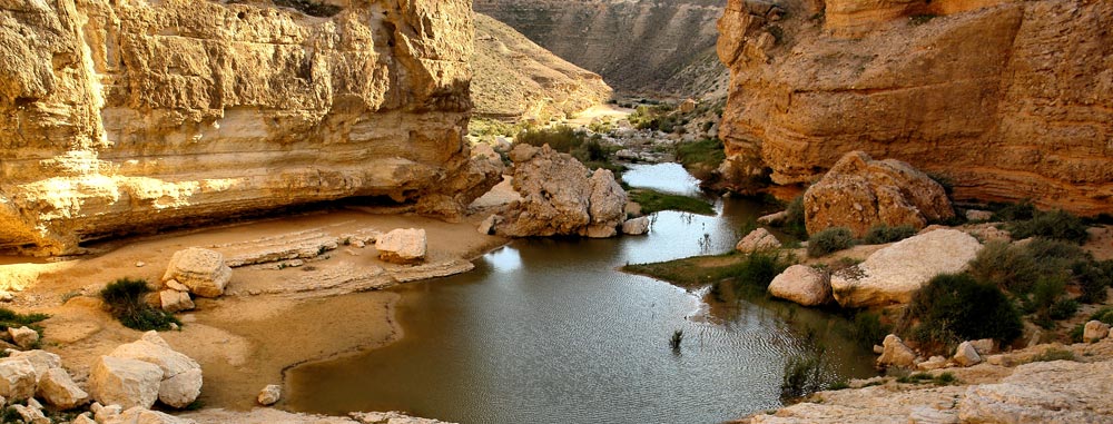 Limousinenservice Israel | exklusiver Limousinenservice in Israel