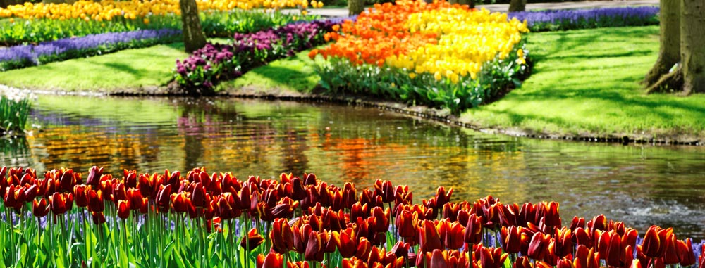 Limousinenservice Niederlande | exklusiver Limousinenservice in Niederlande