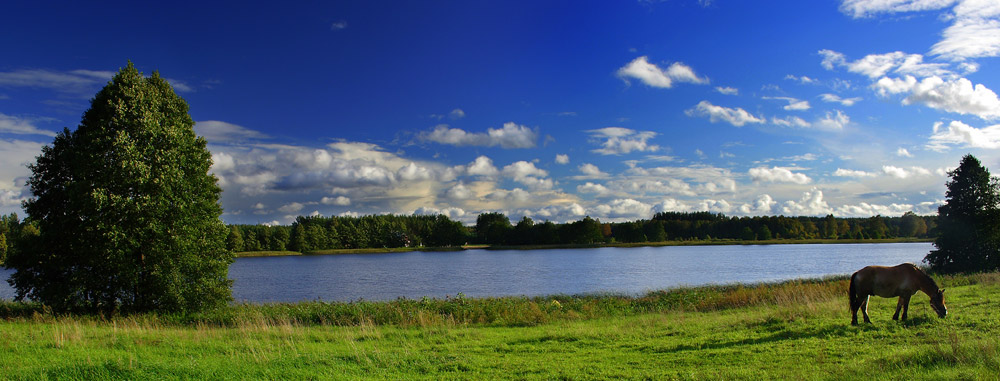 Limousinenservice Polen | exklusiver Limousinenservice in Polen