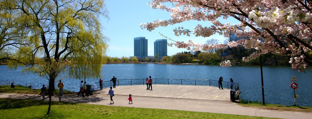Limousinenservice Toronto | exklusiver Limousinenservice in Toronto